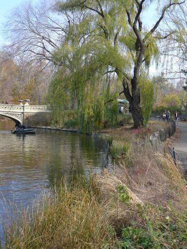 USA_2011-11-20 12-31-32